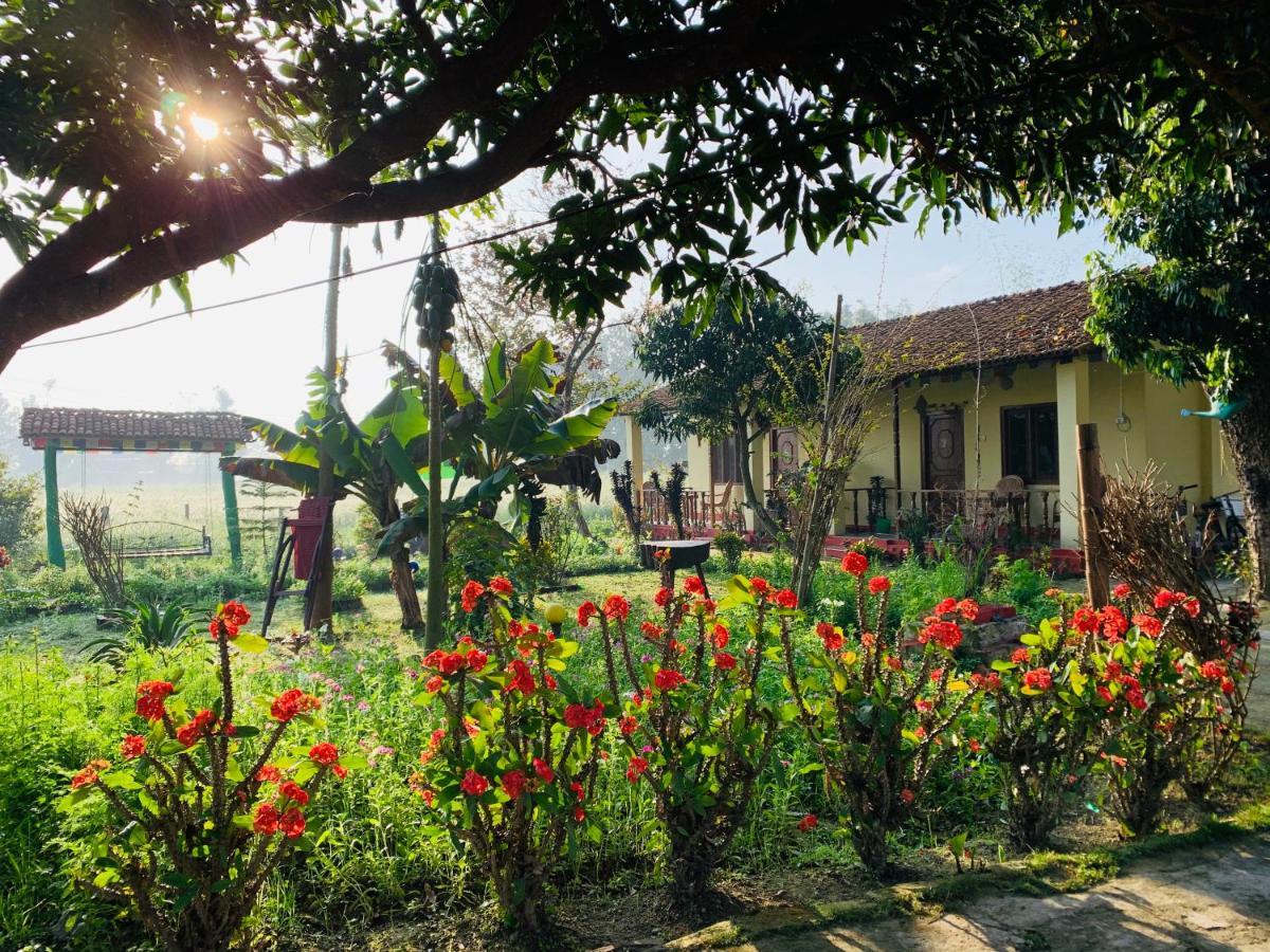 Bardia Eco Friendly Homestay Bardiya Eksteriør billede